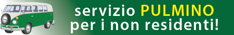 servizio-pulmino1.png